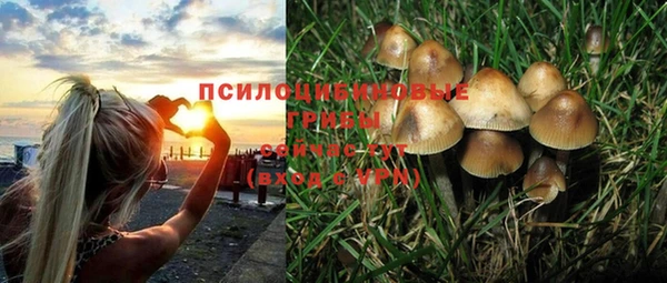 соль ск Заволжск