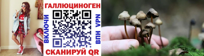 Псилоцибиновые грибы мицелий  что такое наркотик  Протвино 
