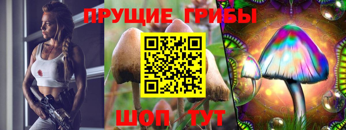 Галлюциногенные грибы ЛСД Протвино